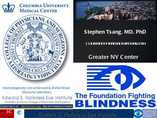 Edward S. Harkness Eye Institute Stephen Tsang, MD, PhD [email_address] Greater NY Center  