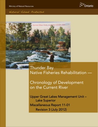 Thunder Bay
Native Fisheries Rehabilitation —
Chronology of Development
on the Current River
Upper Great Lakes Management Unit –
Lake Superior
Miscellaneous Report 11-01
Revision 3 (July 2012)
 