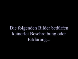 Die folgenden Bilder bedürfen keinerlei Beschreibung oder Erklärung...