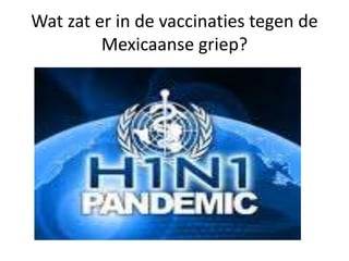 Wat zat er in de vaccinaties tegen de
Mexicaanse griep?
 