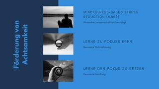 Förderungvon
Achtsamkeit
L E R N E D E N F O K U S Z U S E T Z E N
Bewusste Handlung
L E R N E Z U F O K U S S I E R E N
Bewusste Wahrnehmung
M I N D F U L N E S S - B A S E D S T R E S S
R E D U C T I O N ( M B S R )
Wirsamkeit wissenschaftlich bestätigt
 