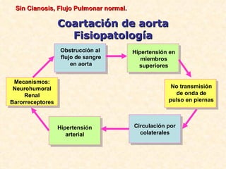 Sin Cianosis, Flujo Pulmonar normal.

                  Coartación de aorta
                    Fisiopatología
                   Obstrucción al       Hipertensión en
                   flujo de sangre         miembros
                       en aorta           superiores

 Mecanismos:
 Neurohumoral                                        No transmisión
     Renal                                            de onda de
Barorreceptores                                     pulso en piernas



                  Hipertensión          Circulación por
                     arterial             colaterales
 