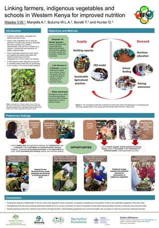 Linking farmers, indigenous vegetables and
schools in Western Kenya for improved nutrition
Wasike V.W.1, Manjella A.2, Buluma W.L.A.2, Borelli T.3 and Hunter D.3
• In Kenya, undernutrition, overweight and
obesity exist side by side
• African Leafy Vegetables (ALVs) have the
potential to provide ready access to affordable
key macro-nutrients (e.g. proteins,
carbohydrates, fats) and micro-nutrients (e.g.
vitamins, minerals and trace elements) for
healthy, balanced diets
• Poorly developed markets and value chains,
and negative perceptions associated with
traditional foods have led to the
disappearance of many nutrient-rich species
• A shift towards modern lifestyles has also led
to unhealthy eating habits that are contributing
to an increase in non-communicable diseases
Figure 1. The conceptual model that underpins the pilot study works simultaneously on developing and
improving capacity both on the supply and the demand-side of the ALV value chain.
Preliminary findings
Empower 30
farmer groups to
produce nutritious foods
using sustainable
agricultural practices
and build their capacity
to handle, process and
financially manage their
businesses
Link farmers to
3 schools to develop
institutional markets
(e.g. schools, clinics)
and supply chains for
nutrient-rich foods to
enhance nutrition,
livelihoods and
economic returns
Raise awareness
of indigenous crops, while
increasing appreciation
and use of local nutritious
biodiversity to improve
dietary diversity
Introduction Objectives and Methods
Author Affiliations
1KALRO, Nairobi, Kenya Email: Victor.Wasike@kalro.org
2SINGI Community Based Organization Busia
3Bioversity International
Lack of quality seed, poor agronomic practices, poor infrastructure, lack
of transport, limited information on nutritional quality, financial
limitations, complicated procurement processes, limited appreciation by
youth, limited processing and handling capacity, poor business capacity
Training on sustainable
agriculture practices to
increase production
Adapted Farmer
Business School model
developed and delivered
to 30 farmer groups in
2016
MoU between 1 farmer group
and 1 school for the sale of
ALVs grown on school land
Lack of reliable supplies, limited quantity and varying
quality, issues of food safety, limited information on
nutritional quality, limited appreciation by youth
Consultative
workshop
(2015)
Focus group
discussions
(2015)
Market
surveys
(2013)
Meetings with
school
administration
(2015)
Busia Traditional Food Fair
helps raise awareness
(2014 and 2015)
Traditional recipes
collected and published
promote the
consumption of
indigenous vegetables
1 school now serving
indigenous vegetables to 410
students
Photo: Available ALVs in Busia, Western Kenya. From top,
left to right: Jute mallow (Corchorus olitorius), Ethiopian kale
(Brassica carinata), African nightshade (Solanum nigrum) and
Spider plant (Cleome gynandra). Bioversity/T. Borelli
• Building the capacity of stakeholders in the ALV value chain segments (inputs, production, processing, marketing and consumption) is key to the sustainable upgrading of the value chain
• Strengthening links with and promoting institutional markets for ALVs can spur production to improve household incomes while improving dietary diversity in producers and consumers alike
• Raising awareness about the nutritional value of ALVs through food fairs, school-feeding programmes and community health units can assist in improving community nutritional outcomes
OPPORTUNITIES
Conclusions
 