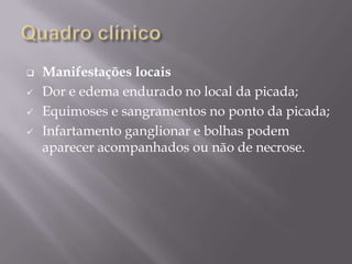  Manifestações locais
 Dor e edema endurado no local da picada;
 Equimoses e sangramentos no ponto da picada;
 Infartamento ganglionar e bolhas podem
aparecer acompanhados ou não de necrose.
 