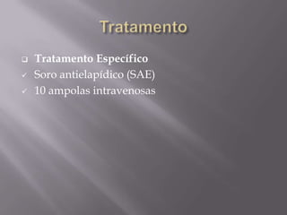  Tratamento Específico
 Soro antielapídico (SAE)
 10 ampolas intravenosas
 