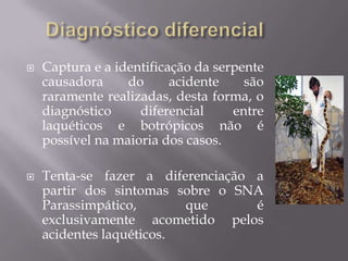  Captura e a identificação da serpente
causadora do acidente são
raramente realizadas, desta forma, o
diagnóstico diferencial entre
laquéticos e botrópicos não é
possível na maioria dos casos.
 Tenta-se fazer a diferenciação a
partir dos sintomas sobre o SNA
Parassimpático, que é
exclusivamente acometido pelos
acidentes laquéticos.
 