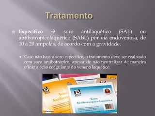  Específico  soro antilaquético (SAL) ou
antibotropicolaquético (SABL) por via endovenosa, de
10 a 20 ampolas, de acordo com a gravidade.
 Caso não haja o soro específico, o tratamento deve ser realizado
com soro antibotrópico, apesar de não neutralizar de maneira
eficaz a ação coagulante do veneno laquético.
 
