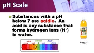 ►Substances with a pH
below 7 are acidic. An
acid is any substance that
forms hydrogen ions (H+)
in water.
vinegar
 