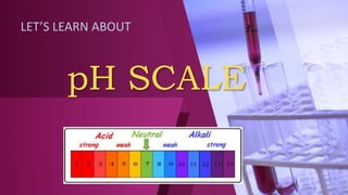 pH SCALE
LET’S LEARN ABOUT
 