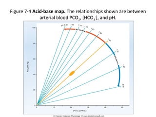 Acid base | PPT