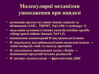 Молекулярні механізми 
ушкодження при ацидозі 
• активація протон-чутливих іонних каналів та 
обмінників (ASIC, TRPM7, Na(+)/H(+) exchanger 1) 
• модуляція активності іонних каналів (cardiac-specific 
voltage-gated sodium channel, NaV1.5) 
• підвищення концентрації H+ внутрішньоклітинно 
• H+ порушують внутрішньоклітинні сигнальні шляхи → 
зміни експресії генів та синтезу протеїнів 
• H+ каталізують вивільнення заліза з білків → 
підвищення продукції вільних радикалів 
• H+ активує ендонуклеази → фрагментація ДНК 
 