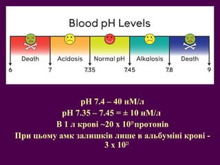 pH 7.4 – 40 нМ/л 
рH 7.35 – 7.45 = ± 10 нМ/л 
В 1 л крові ~20 х 1015 протонів 
При цьому амк залишків лише в альбуміні крові - 
3 х 1023 
 