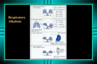 Respiratory
Alkalosis
 
