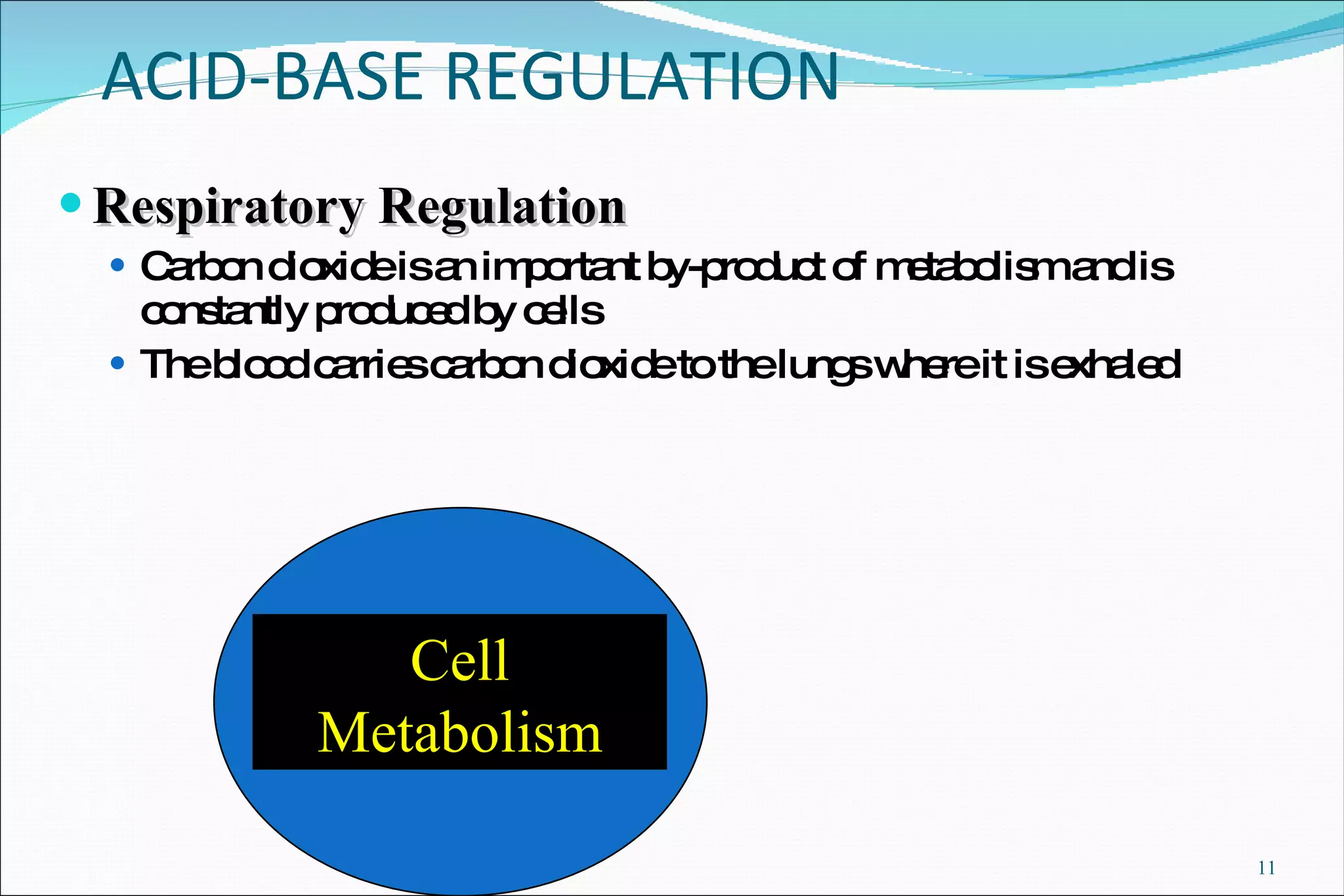 Acid Base Balance | PPT