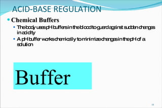 ACID-BASE REGULATION Chemical Buffers The body uses pH buffers in the blood to guard against sudden changes in acidity A pH buffer works chemically to minimize changes in the pH of a solution H + OH - H + H + OH - OH - Buffer 