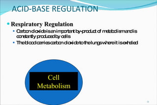 ACID-BASE REGULATION Respiratory Regulation Carbon dioxide is an important by-product of metabolism and is constantly produced by cells The blood carries carbon dioxide to the lungs where it is exhaled CO 2 CO 2 CO 2 CO 2 CO 2 CO 2 Cell Metabolism 