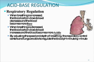 ACID-BASE REGULATION Respiratory Regulation When breathing is increased, the blood carbon dioxide level decreases and the blood becomes more  Base When breathing is decreased, the blood carbon dioxide level increases and the blood becomes more  Acidic By adjusting the speed and depth of breathing, the respiratory control centers and lungs are able to regulate the blood pH minute by minute 