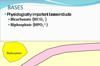 BASES Physiologically important bases include: Bicarbonate (HCO 3 -  ) Biphosphate (HPO 4 -2  ) Biphosphate Bicarbonate 