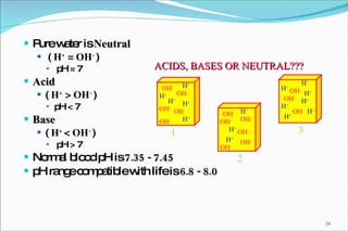 Pure water is  Neutral (  H +  =  OH -   ) pH = 7 Acid   (  H +  >  OH -  )  pH < 7 Base   (  H +   <  OH -   ) pH > 7 Normal blood pH is  7.35 - 7.45 pH range compatible with life is  6.8 - 8.0 ACIDS, BASES OR NEUTRAL??? 1 2 3 OH - OH - OH - OH - OH - OH - H + H + H + H + OH - OH - OH - OH - OH - H + H + H + H + OH - OH - OH - H + H + H + H + H + H + H + 
