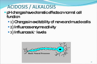 ACIDOSIS / ALKALOSIS pH changes have dramatic effects on normal cell function 1)  Changes in excitability of nerve and muscle cells 2)  Influences enzyme activity 3)  Influences  K +  levels 