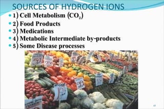 SOURCES OF HYDROGEN IONS  1) Cell Metabolism (CO 2 ) 2) Food Products 3) Medications 4) Metabolic Intermediate by-products 5) Some Disease processes 