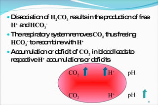 Dissociation of  H 2 CO 3  results in the production of free  H +  and  HCO 3 - The respiratory system removes  CO 2  thus freeing  HCO 3 -  to recombine with  H + Accumulation or deficit of  CO 2  in blood leads to respective  H +  accumulations or deficits CO 2 H + CO 2 H + pH pH 