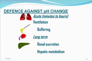 01/24/10 Acute (minutes to hours)  Ventilation Buffering Long term Renal excretion Hepatic metabolism 