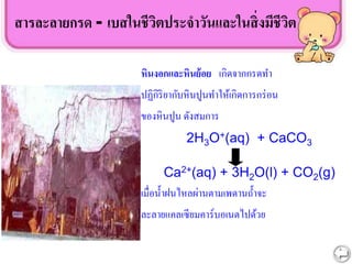สารละลายกรด - เบสในชีวิตประจาวันและในสิ่งมีชีวิต
หินงอกและหินย้อย เกิดจากกรดทา
ปฏิกิริยากับหินปูนทาให้เกิดการกร่อน
ของหินปูน ดังสมการ
2H3O+(aq) + CaCO3
Ca2+(aq) + 3H2O(l) + CO2(g)
เมื่อน้าฝนไหลผ่านตามเพดานถ้าจะ
ละลายแคลเซียมคาร์บอเนตไปด้วย
 
