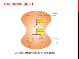 Generation of bicarbonate by the erythrocytes
CHLORIDE SHIFT
 
