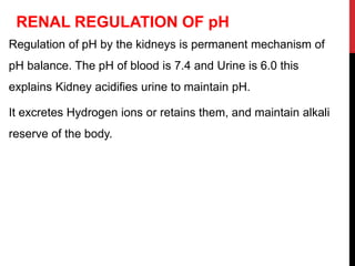 RENAL REGULATION OF pH
Regulation of pH by the kidneys is permanent mechanism of
pH balance. The pH of blood is 7.4 and Urine is 6.0 this
explains Kidney acidifies urine to maintain pH.
It excretes Hydrogen ions or retains them, and maintain alkali
reserve of the body.
 