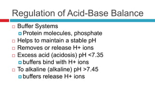 Solution becomes more alkaline