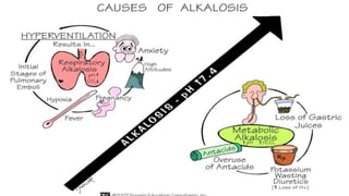 Alkalosis depresses respiration