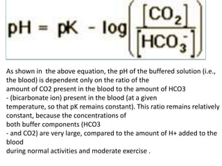 As shown in the above equation, the pH of the buffered solution (i.e.,
the blood) is dependent only on the ratio of the
amount of CO2 present in the blood to the amount of HCO3
- (bicarbonate ion) present in the blood (at a given
temperature, so that pK remains constant). This ratio remains relatively
constant, because the concentrations of
both buffer components (HCO3
- and CO2) are very large, compared to the amount of H+ added to the
blood
during normal activities and moderate exercise .
 
