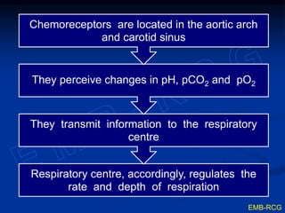 Respiratory centre, accordingly, regulates the
rate and depth of respiration
They transmit information to the respiratory
centre
They perceive changes in pH, pCO2 and pO2
Chemoreceptors are located in the aortic arch
and carotid sinus
EMB-RCG
 