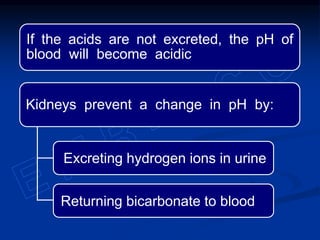 If the acids are not excreted, the pH of
blood will become acidic
Kidneys prevent a change in pH by:
Excreting hydrogen ions in urine
Returning bicarbonate to blood
 