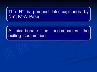 The H+ is pumped into capillaries by
Na+, K+-ATPase
A bicarbonate ion accompanies the
exiting sodium ion
 