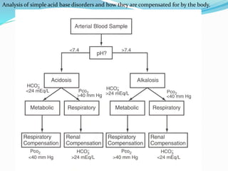 Acid base balance | PPTX