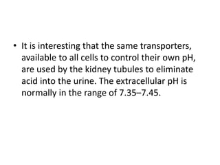 • It is interesting that the same transporters,
available to all cells to control their own pH,
are used by the kidney tubules to eliminate
acid into the urine. The extracellular pH is
normally in the range of 7.35–7.45.
 