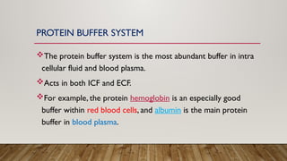 Protein Buffer Example ACID-BASE BALANCE in human body and different mechanisms involved | PPTX