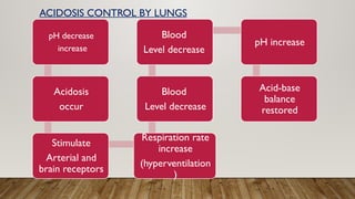 ACID-BASE BALANCE in human body and different mechanisms involved | PPTX