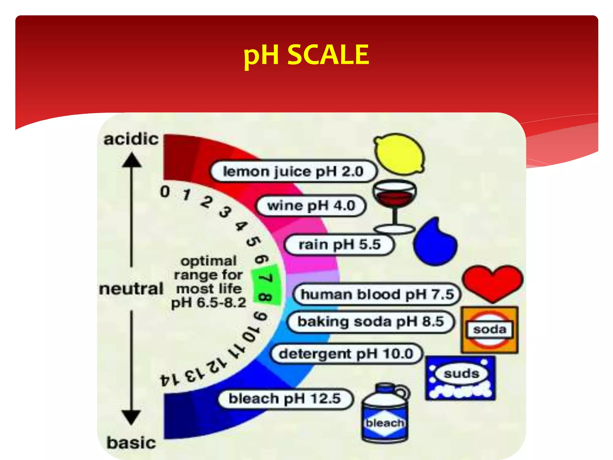 pH SCALE
 