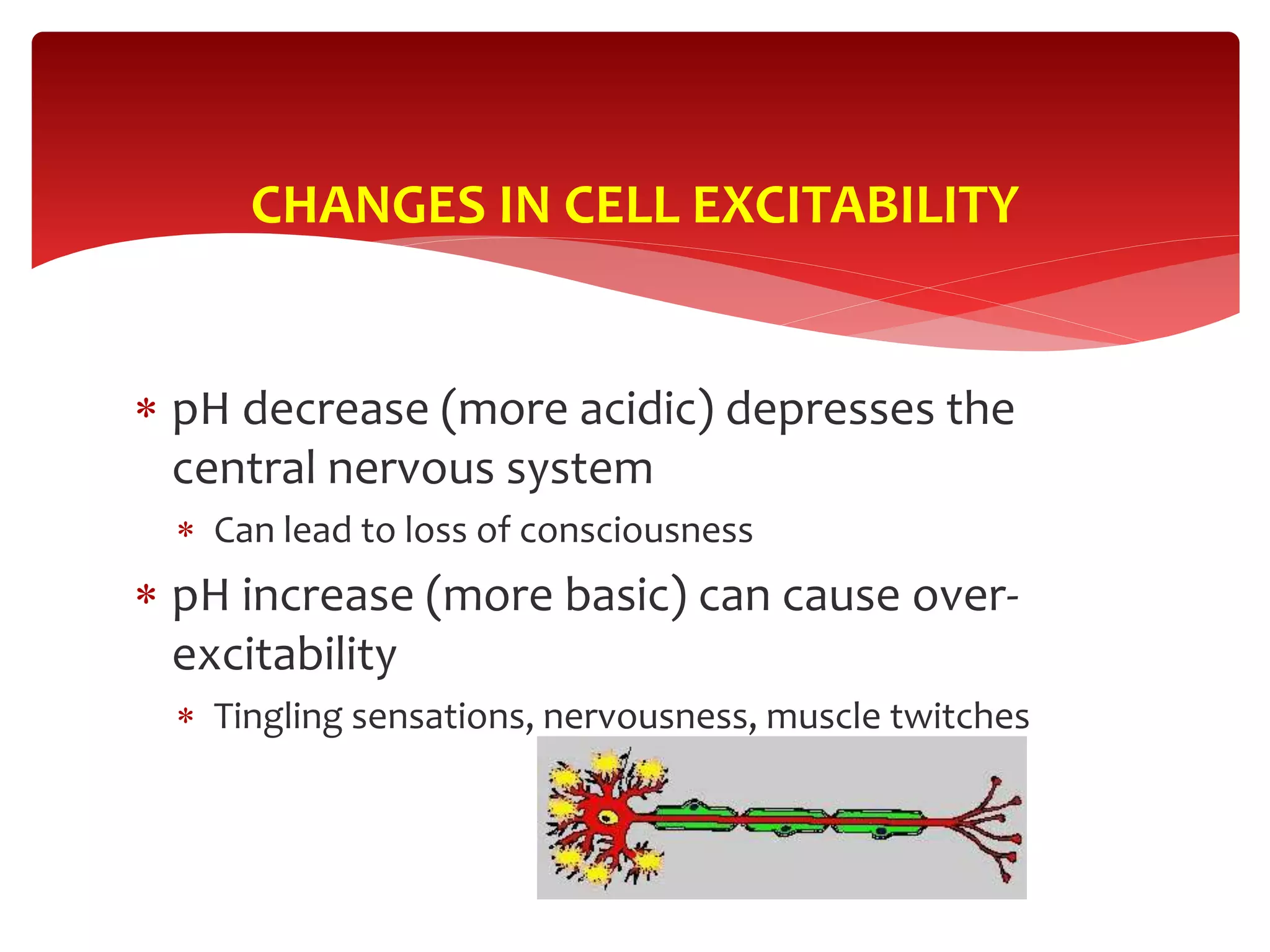  pH decrease (more acidic) depresses the
central nervous system
 Can lead to loss of consciousness
 pH increase (more basic) can cause over-
excitability
 Tingling sensations, nervousness, muscle twitches
CHANGES IN CELL EXCITABILITY
 