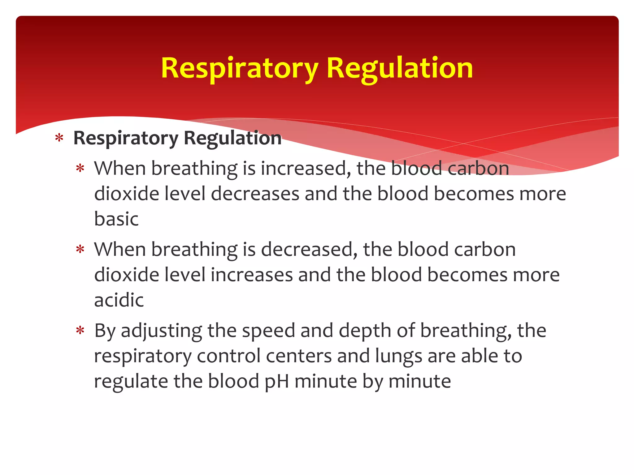  Respiratory Regulation
 When breathing is increased, the blood carbon
dioxide level decreases and the blood becomes more
basic
 When breathing is decreased, the blood carbon
dioxide level increases and the blood becomes more
acidic
 By adjusting the speed and depth of breathing, the
respiratory control centers and lungs are able to
regulate the blood pH minute by minute
Respiratory Regulation
 