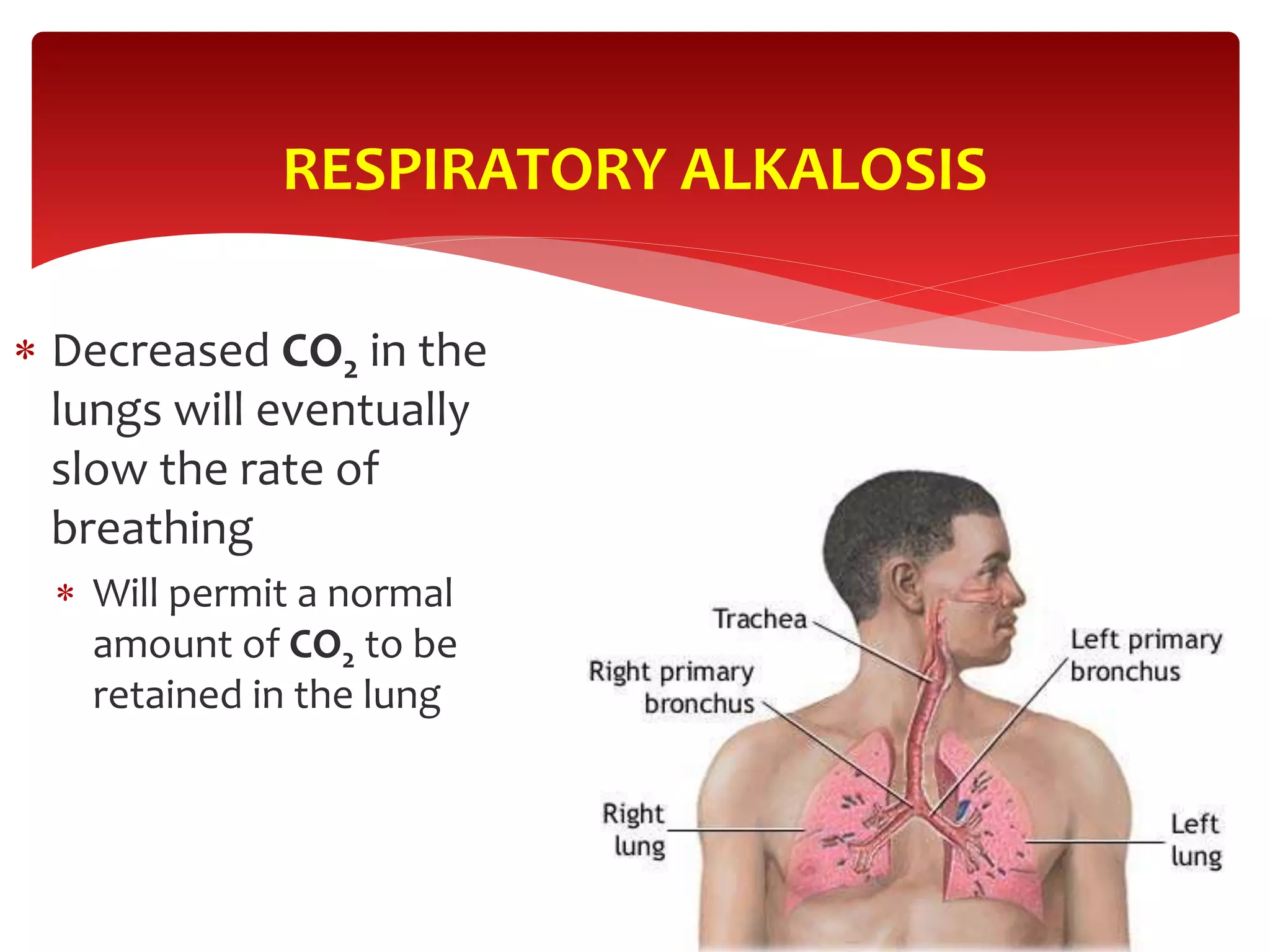  Decreased CO2 in the
lungs will eventually
slow the rate of
breathing
 Will permit a normal
amount of CO2 to be
retained in the lung
RESPIRATORY ALKALOSIS
 