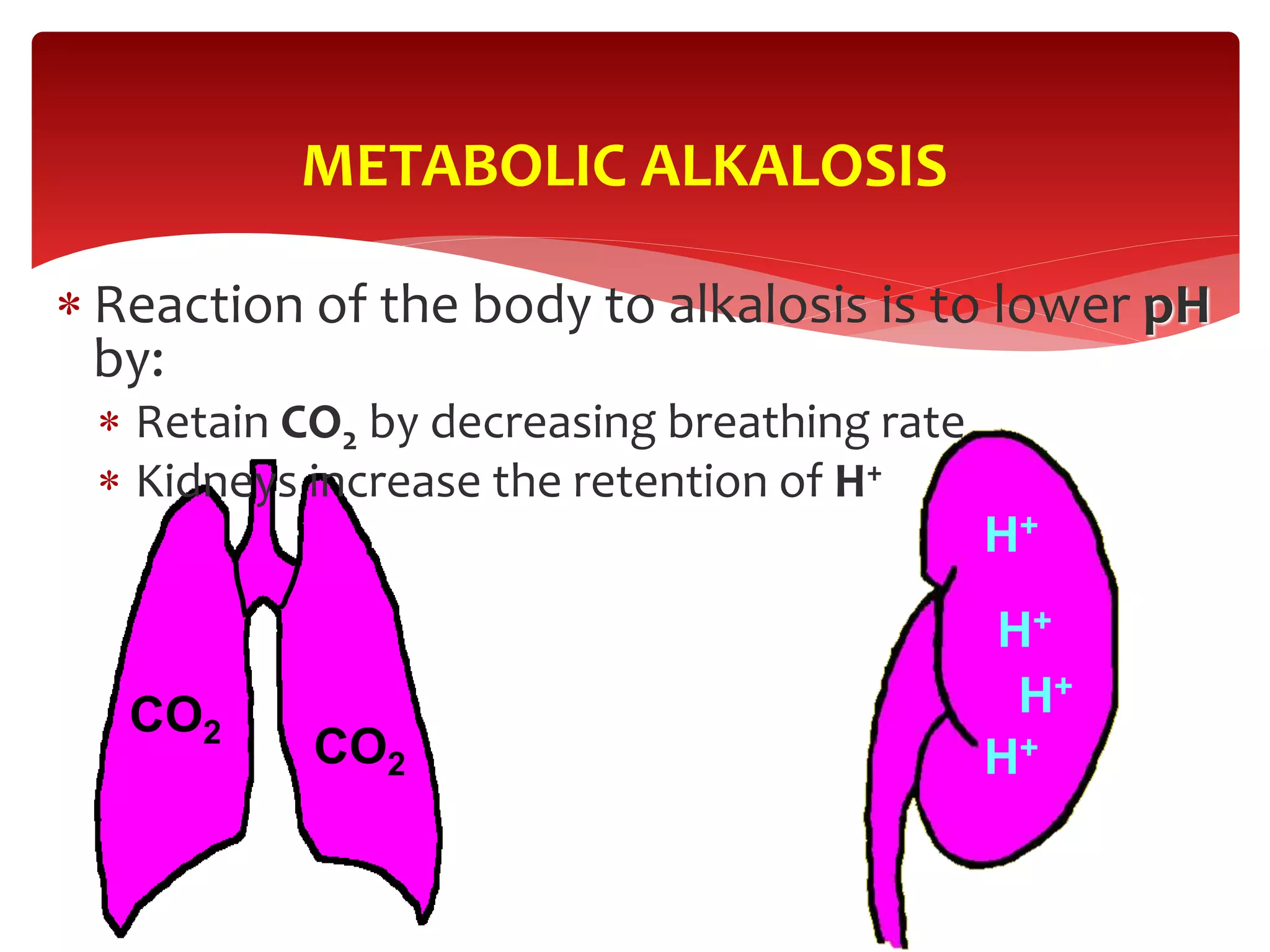  Reaction of the body to alkalosis is to lower pH
by:
 Retain CO2 by decreasing breathing rate
 Kidneys increase the retention of H+
METABOLIC ALKALOSIS
CO2
CO2
H+
H+
H+
H+
 