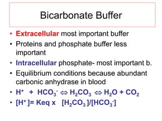 Bicarbonate Buffer
• Extracellular most important buffer
• Proteins and phosphate buffer less
important
• Intracellular phosphate- most important b.
• Equilibrium conditions because abundant
carbonic anhydrase in blood
• H+ + HCO3
-  H2CO3  H2O + CO2
• [H+ ]= Keq x [H2CO3 ]/[HCO3
-]
 