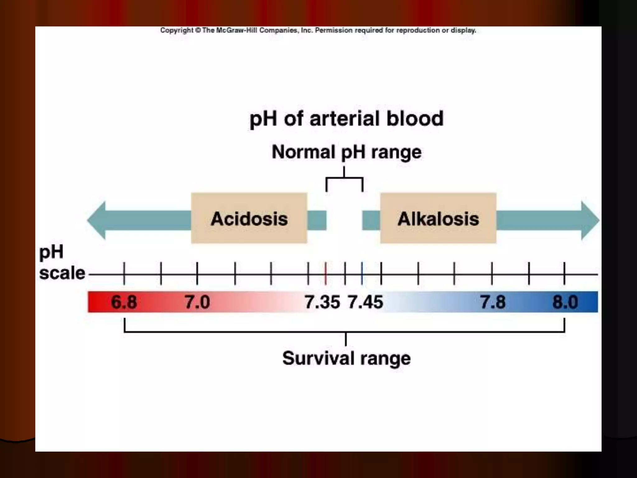 Acid Base Balance - Biochemistry of human homeostasis