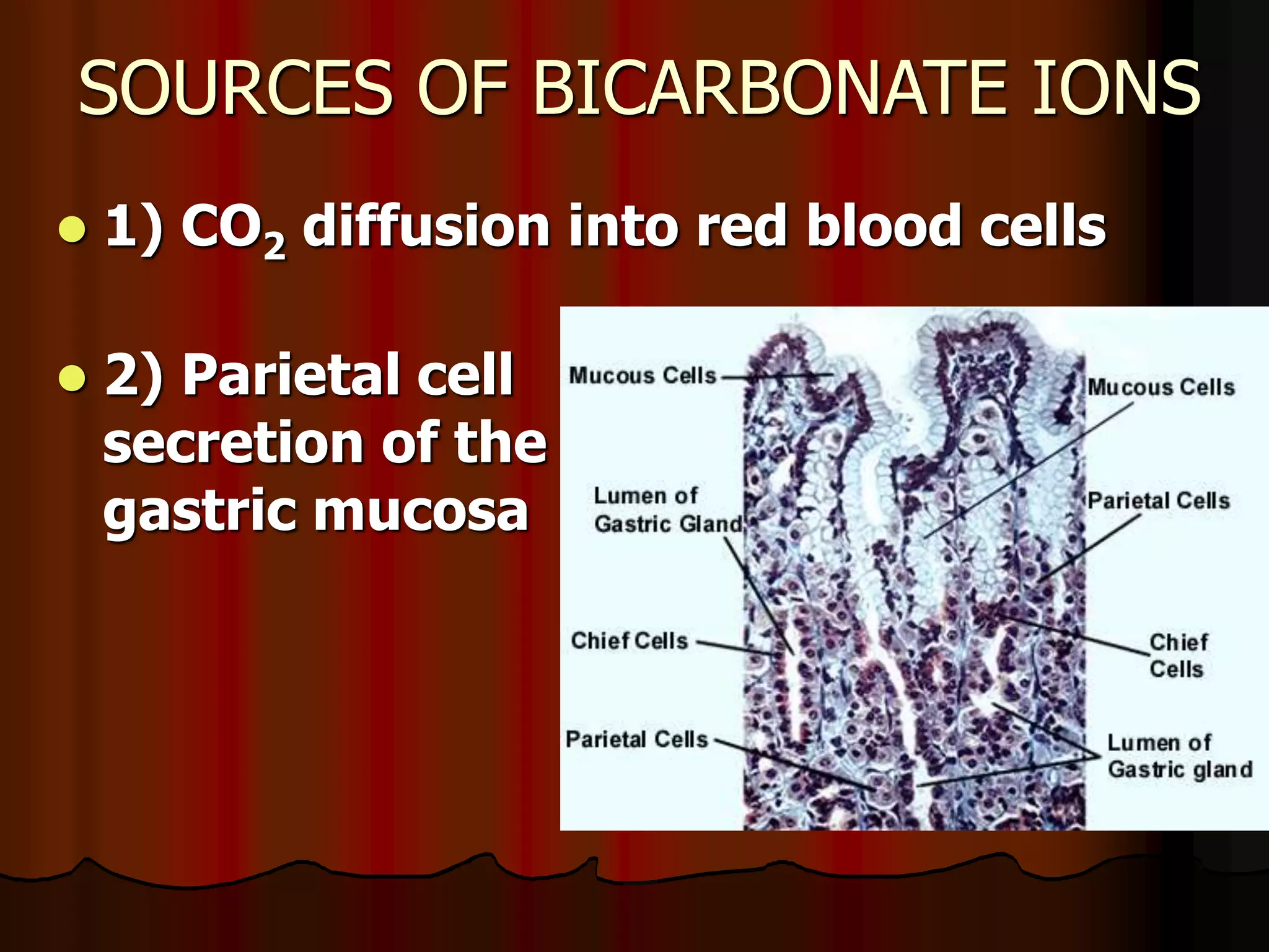 Acid Base Balance - Biochemistry of human homeostasis