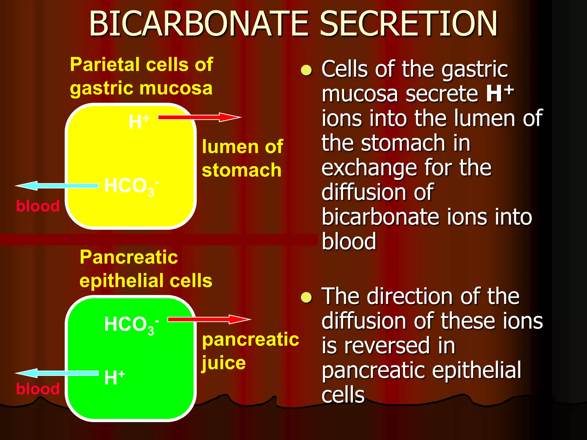Acid Base Balance - Biochemistry of human homeostasis