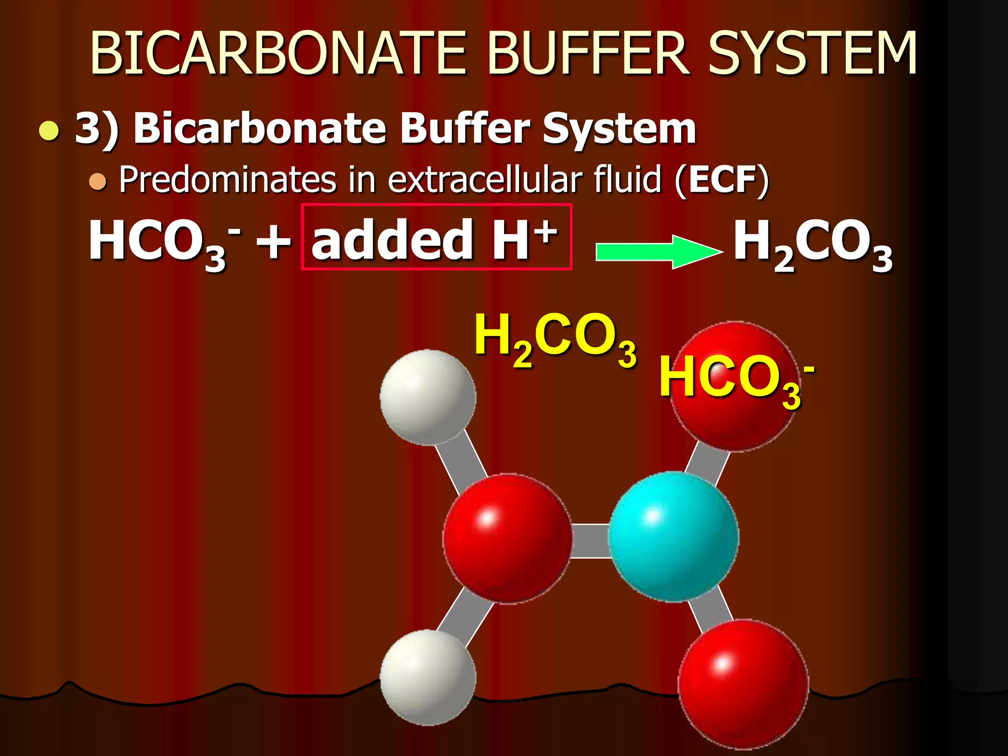 Acid Base Balance - Biochemistry of human homeostasis